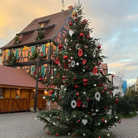 Le Charme D'alsace